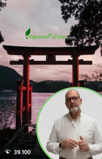 Video Avatar AI
