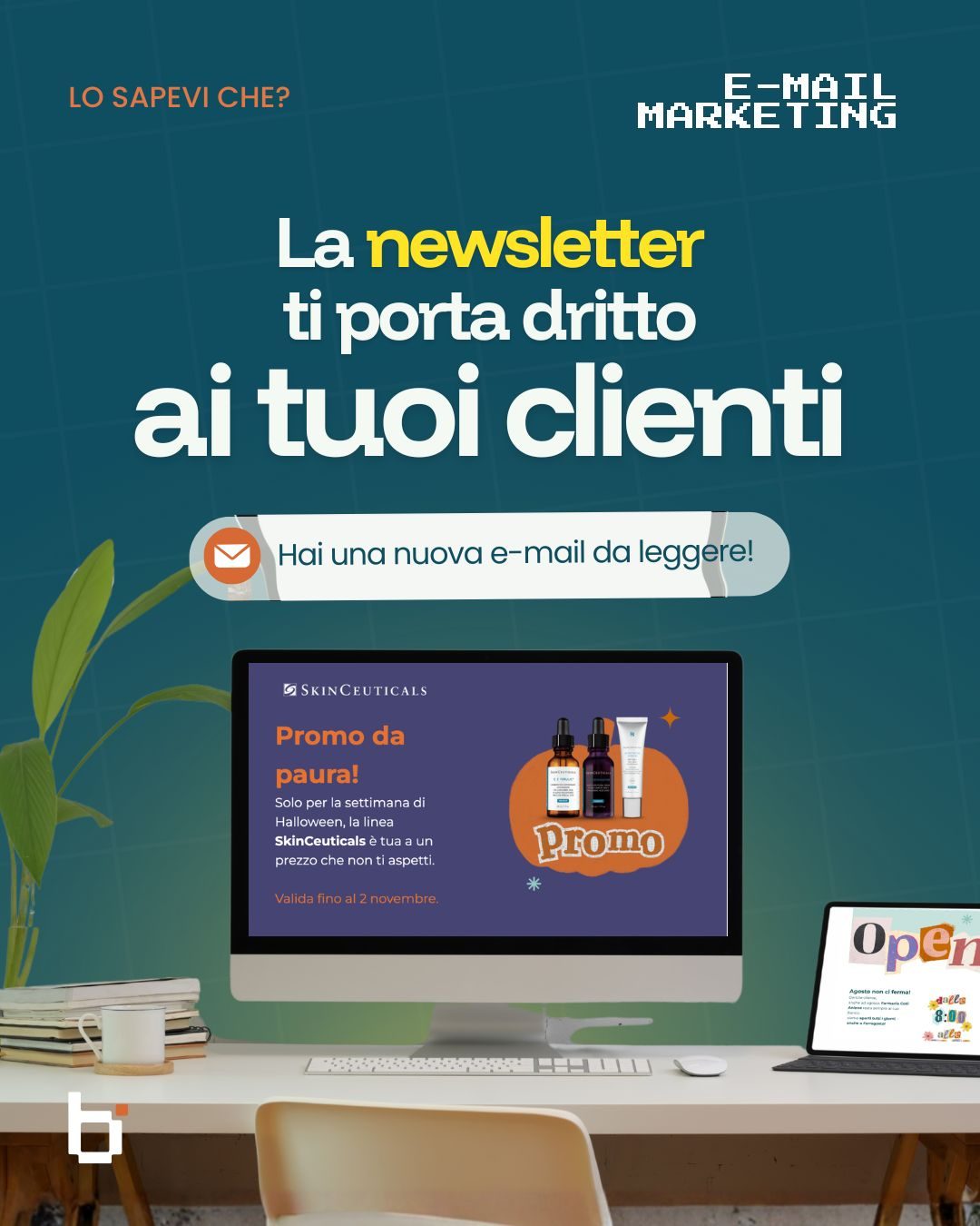Newsletter & Email Marketing